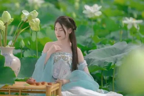 Khám phá 5 đầm sen đẹp nhất Hà Nội