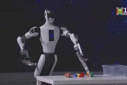Robot hình người sẽ sớm được ứng dụng rộng rãi