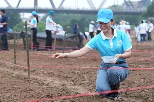 Quận Ba Đình: Làm sạch môi trường bờ sông Hồng
