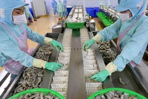 Thủy sản Minh Phú (MPC) đặt mục tiêu lãi gần 1.270 tỷ đồng năm 2024