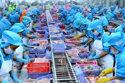 Thủy sản Nam Việt (ANV) đặt mục tiêu năm 2024 lãi trước thuế 360 tỷ đồng, phát hành cổ phiếu nâng vốn điều lệ gấp đôi lên hơn 2.666 tỷ đồng