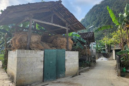 Quảng Hòa nỗ lực di dời chuồng gia súc ra khỏi gầm sàn nhà ở