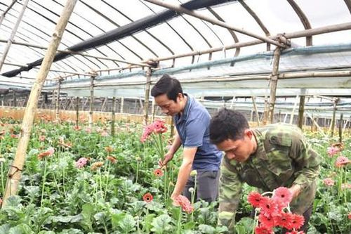 Tầm nhìn cho nông nghiệp, nông thôn Thủ đô