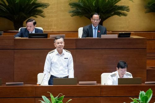 Tập đoàn Thuận An, Phúc Sơn không phải đối tượng được kiểm toán