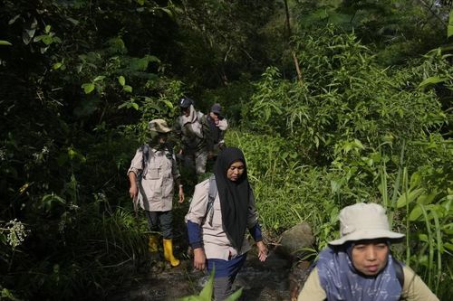 Những nữ kiểm lâm truyền cảm hứng bảo vệ rừng ở Indonesia