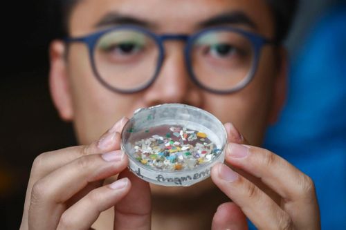 Những quốc gia 'ăn' nhiều vi nhựa nhất thế giới, Việt Nam cũng có tên