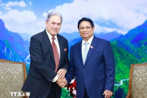 Thủ tướng Phạm Minh Chính tiếp Phó Thủ tướng New Zealand