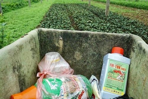Hà Nội xử lý triệt để bao bì thuốc bảo vệ thực vật