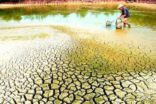 Tiếp cận một cách tổng thể hơn, chiến lược hơn về vấn đề hạn hán, xâm nhập mặn
