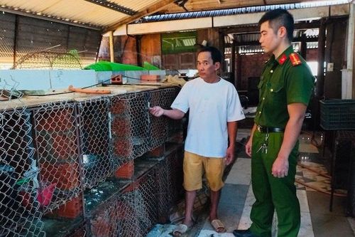 Phát hiện nhiều cá thể động vật bị nuôi nhốt trái phép