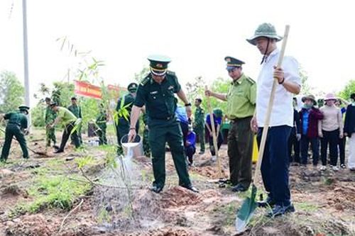 Bình Phước triển khai mô hình trồng tre gai nơi biên giới