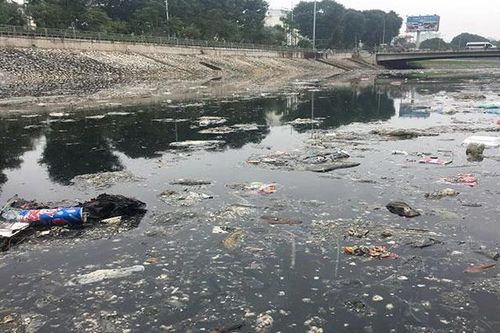 Hãy cứu những 'dòng sông chết'