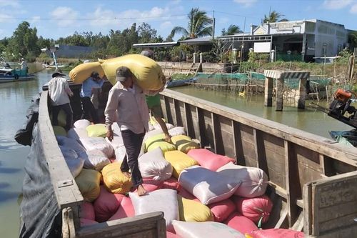 Vụ thương lái mua lúa không trả tiền cho nông dân ở Cà Mau: Đề nghị công an vào cuộc