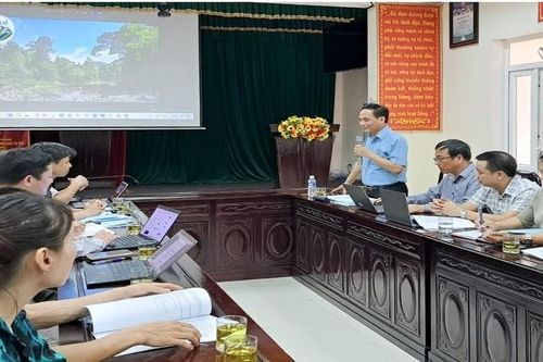 Vusta làm việc với Trung tâm Bảo tồn Thiên nhiên và Phát triển