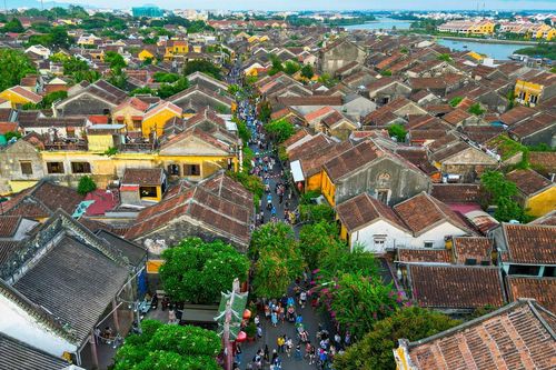 Cận cảnh con đường dài 1km ở Hội An vừa lọt top đẹp nhất thế giới