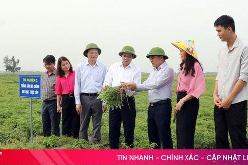 Khoa học và Công nghệ Hà Tĩnh 65 năm xây dựng, đổi mới, phát triển