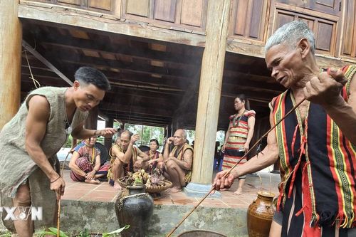 Ước mong mộc mạc của người Brâu ở Kon Tum trong Lễ cúng Trỉa lúa