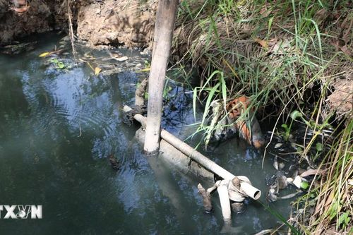 Long An: Phạt nặng doanh nghiệp xả thải gây ô nhiễm nguồn nước