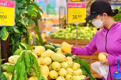 TP Hồ Chí Minh đẩy mạnh tiêu dùng xanh, phát triển kinh tế xanh