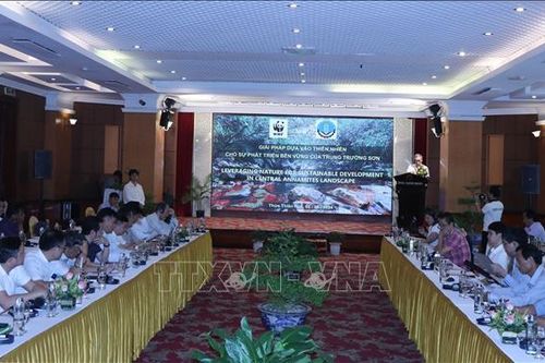 Phát triển các giải pháp dựa vào thiên nhiên tại Trung Trường Sơn
