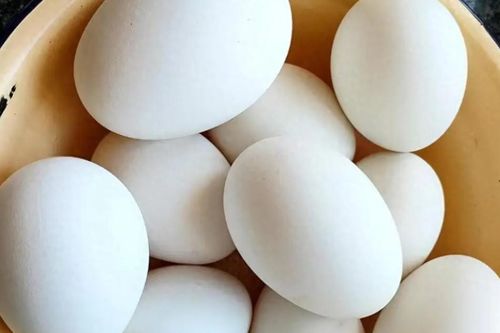 Tại sao ít người ăn trứng ngỗng? Đọc xong sẽ ngỡ ngàng vì quá hợp lý!