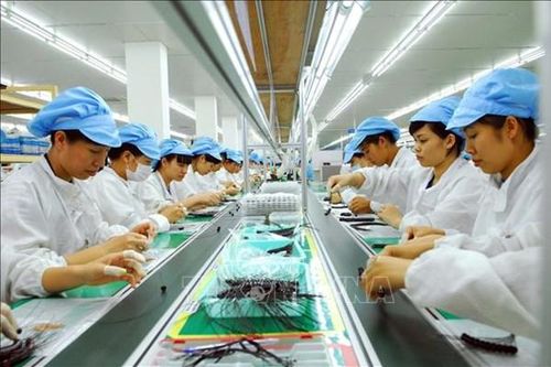 Doanh nghiệp Hàn Quốc tìm kiếm cơ hội tại thị trường Việt Nam
