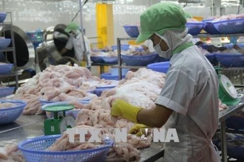 Doanh nghiệp gặp vướng mắc khi phân loại hàng hóa tính thuế