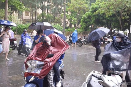 Thi lớp 10 Trường chuyên Đại học Sư phạm: Mưa lớn ảnh hưởng đến tâm lý thí sinh