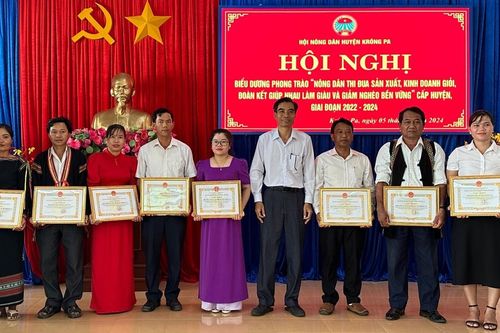 Krông Pa có gần 3.000 hộ sản xuất kinh doanh giỏi các cấp