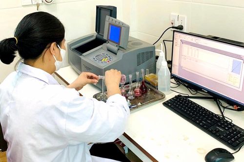 Chú trọng phục hồi đất, chống hạn hán