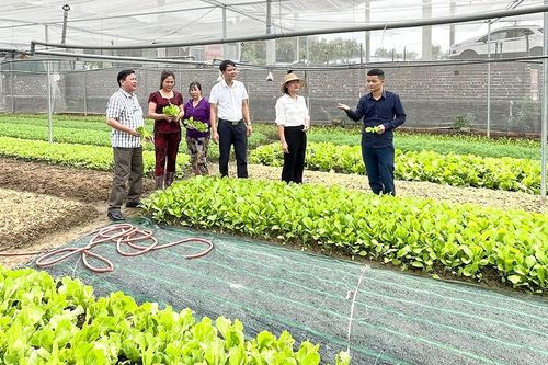 Phát triển nông nghiệp cận đô thị