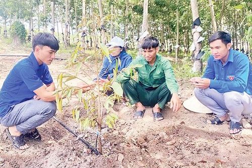 Giúp đồng bào dân tộc thiểu số vươn lên thoát nghèo