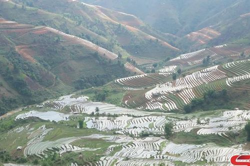 Vùng cao Xím Vàng vào vụ cấy