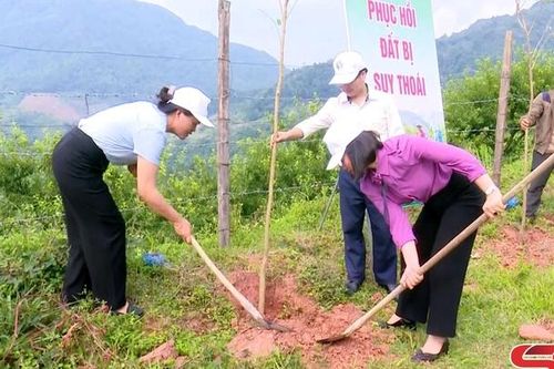Huyện Mộc Châu phát động thu gom vỏ bao thuốc bảo vệ thực vật bảo vệ môi trường