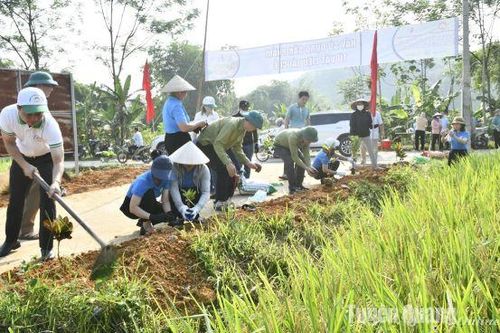 Chung tay bảo vệ môi trường đất