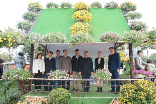 Cầu nối, hỗ trợ cho các Hợp tác xã hoạt động và phát triển