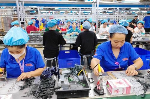 Thanh Hóa: Tổ chức cho phóng viên báo chí tác nghiệp tại huyện Triệu Sơn