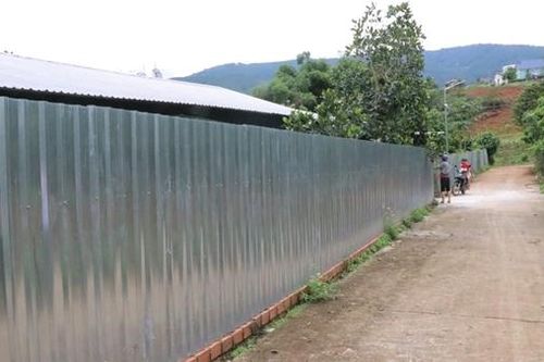 Khốn khổ vì ô nhiễm từ các chuồng trại chăn nuôi heo ở Lâm Đồng