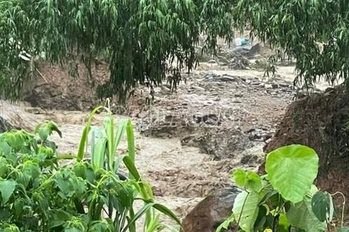 Đi kiểm tra ao cá, hai mẹ con bị lũ cuốn trôi