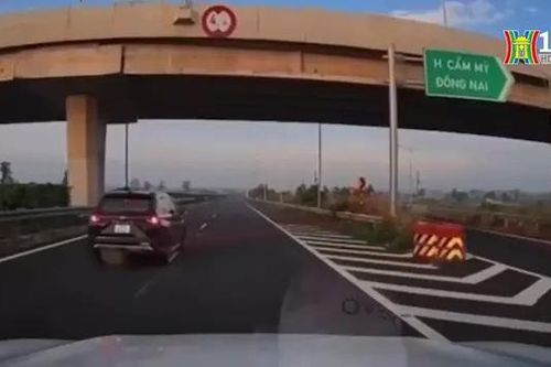 Tước giấy phép lái xe tài xế đi lùi trên cao tốc