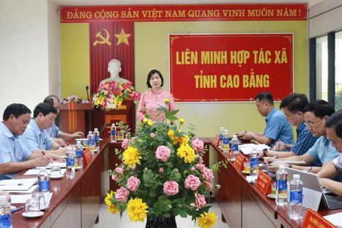 Phó Chủ tịch UBND tỉnh Nguyễn Bích Ngọc: Thực hiện tốt vai trò đầu mối tập hợp, xây dựng, phát triển liên minh các Hợp tác xã tỉnh