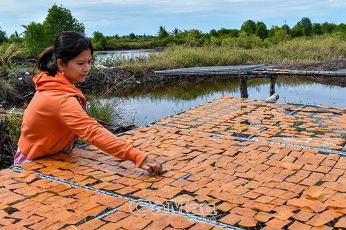 Tập trung phát triển thế mạnh địa phương