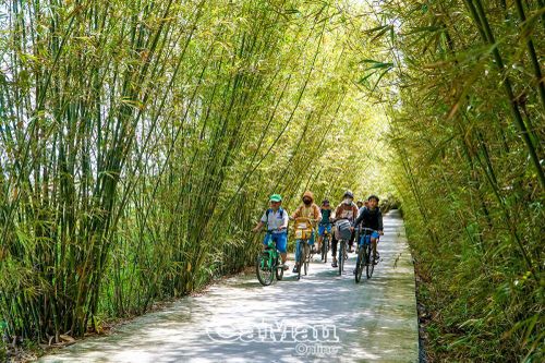 Sức vóc Trí Lực