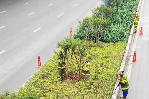 Ngày Môi trường thế giới 5-6: Chung tay vì không khí sạch, thành phố xanh