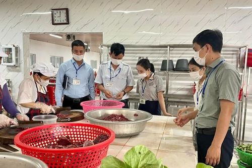 Vụ 71 công nhân ở Nghệ An nhập viện sau bữa ăn trưa: Mẫu cá bạc má rán có chất histamin