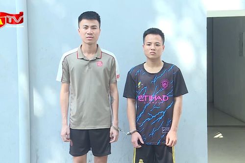 Đôi bạn cùng phòng trọ rủ nhau đi buôn bán 'hàng cấm'
