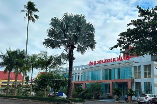 Con trai cựu Tổng Giám đốc Công ty cổ phần cao su Đắk Lắk bị bắt