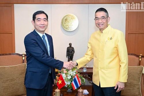 Đại sứ Phạm Việt Hùng chào xã giao Bộ trưởng Ngoại giao Thái Lan Maris Sangiampongsa