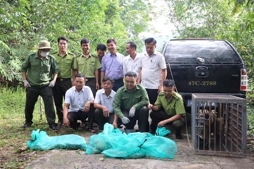 Đắk Lắk thả động vật hoang dã, quý hiếm về với tự nhiên