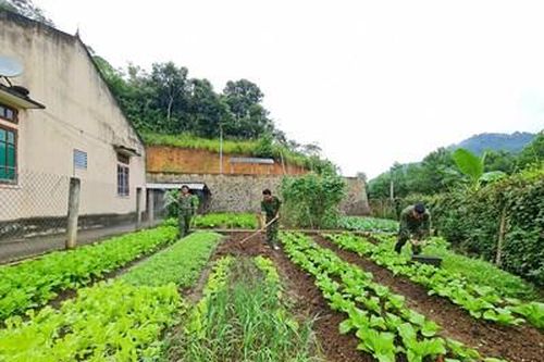 Tự bảo đảm thực phẩm và giúp dân hiệu quả